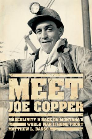 Cover of the book Meet Joe Copper by Erin Hogan