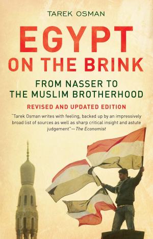 Book cover of Egypt on the Brink