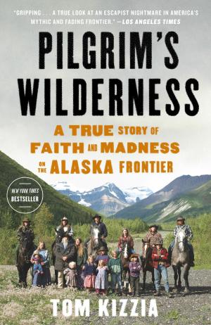 Cover of the book Pilgrim's Wilderness by Robin Wood