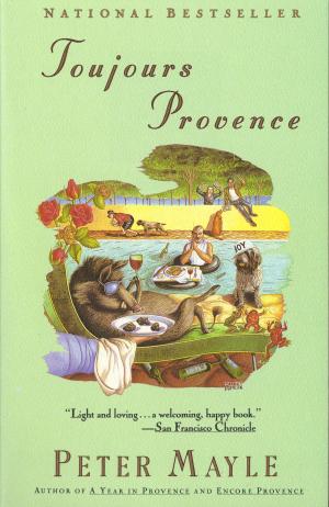 Cover of the book Toujours Provence by Joanna Kavenna