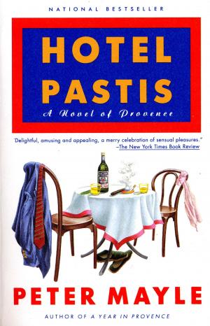 Cover of the book Hotel Pastis by John Berger