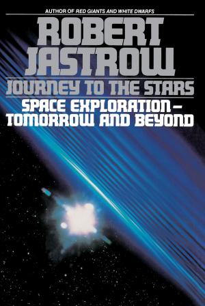 Cover of the book Journey to the Stars by Jaida Jones, Danielle Bennett