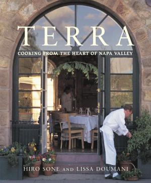 Cover of the book Terra by Brad Churchill