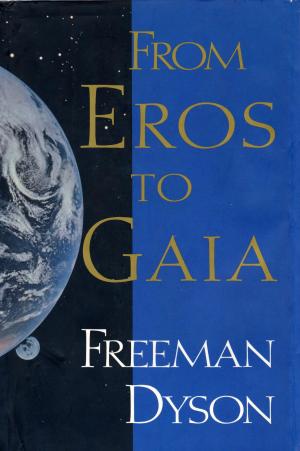Cover of the book FROM EROS TO GAIA by Geoff Dyer