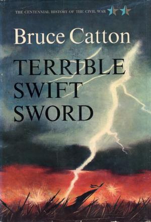 Cover of the book Terrible Swift Sword by Yasmina Reza