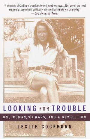 Cover of the book Looking for Trouble by Reuven Hammer