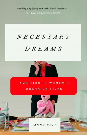Book cover of Necessary Dreams