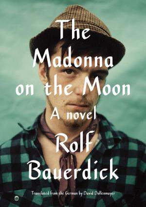 Cover of the book The Madonna on the Moon by Geoff Dyer