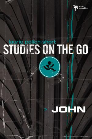 Cover of the book John by Owen Strachan
