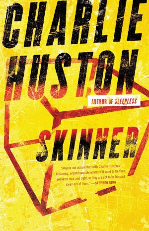 Cover of the book Skinner by Dan Simmons