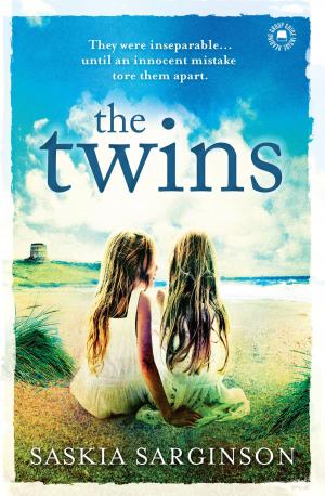 Cover of the book The Twins by R.M. Healy