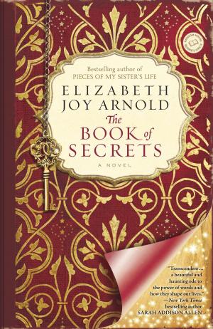 Cover of the book The Book of Secrets by Alison Weir