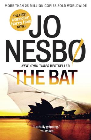 bigCover of the book The Bat by 
