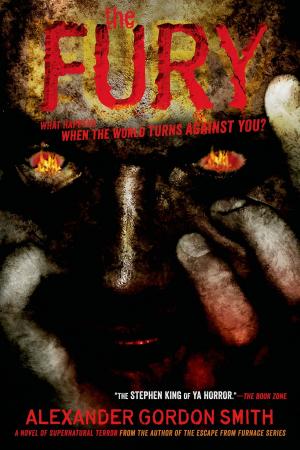 Cover of the book The Fury by Natalie Babbitt