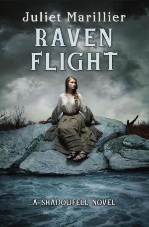 Book cover of Raven Flight