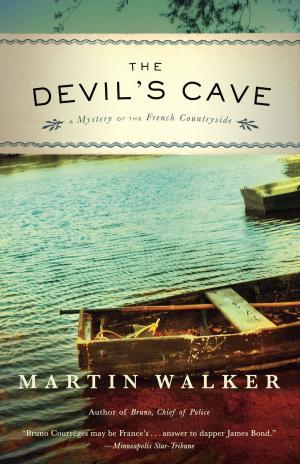 Cover of the book The Devil's Cave by Mary Willis Walker