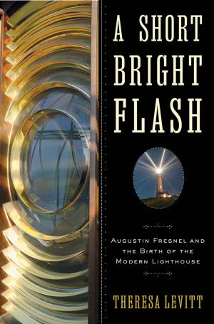 bigCover of the book A Short Bright Flash: Augustin Fresnel and the Birth of the Modern Lighthouse by 