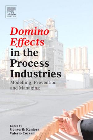 Cover of the book Domino Effects in the Process Industries by Stuart Ball