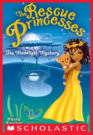 Cover of the book Rescue Princesses #3: The Moonlight Mystery by Allan Woodrow
