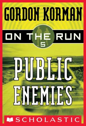 Cover of the book On the Run #5: Public Enemies by R.L. Stine