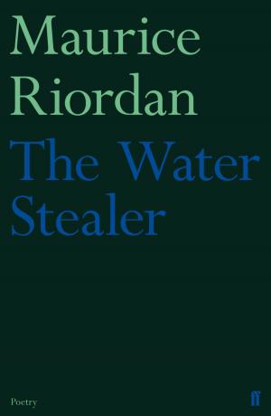 Cover of the book The Water Stealer by Florian Zeller