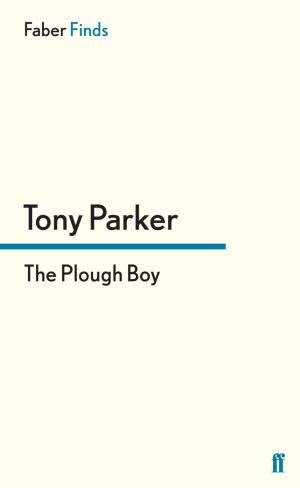 Book cover of The Plough Boy