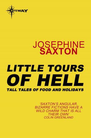 Cover of the book Little Tours of Hell by Bob Shaw