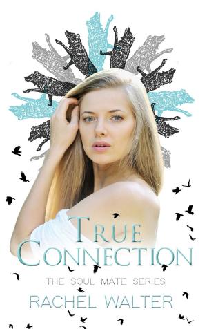 Cover of the book True Connection by Nina Bangs