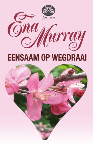 Book cover of Eensaam op Wegdraai