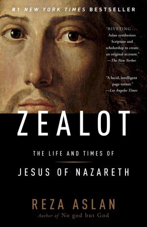 Cover of the book Zealot by Charlie Huston