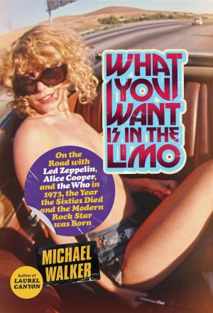 Cover of the book What You Want Is in the Limo by Virginia Henley