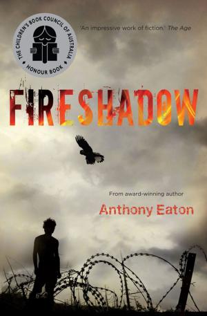 Book cover of Fireshadow