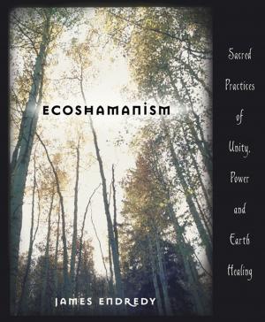 Book cover of Ecoshamanism