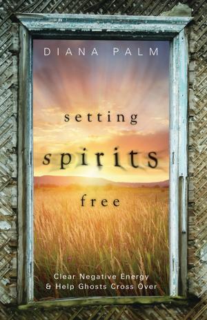 Cover of the book Setting Spirits Free by Sue Ann Jaffarian