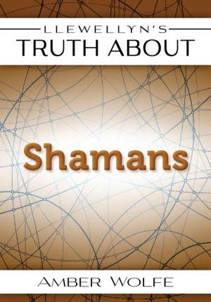 Cover of Llewellyn's Truth About Shamans