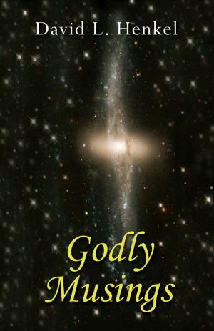 Book cover of Godly Musings