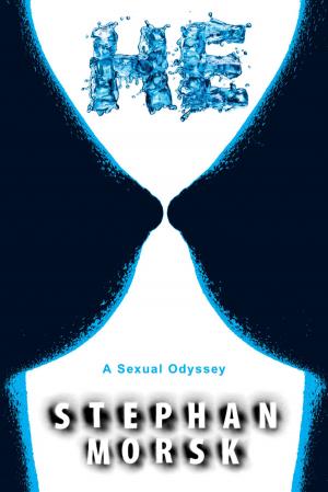 Cover of the book HE: A SEXUAL ODYSSEY by I.C.E.