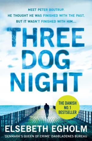 Cover of the book Three Dog Night by Quintin Jardine
