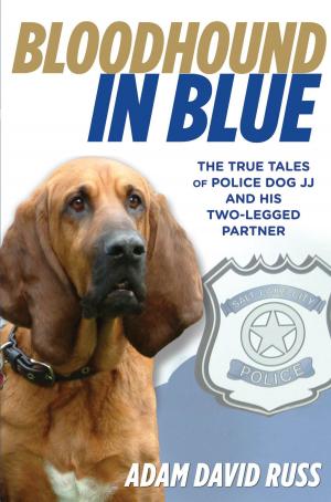 Cover of the book Bloodhound in Blue by The Boston Globe, Sheryl Julian