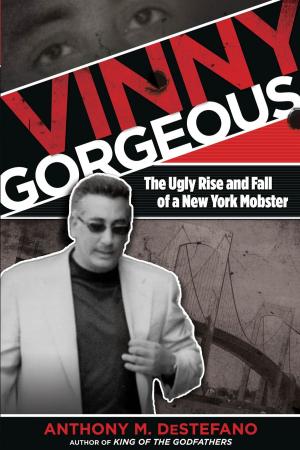 Cover of the book Vinny Gorgeous by Aaron Elliott, Lee Mellor, Kevin M. Sullivan