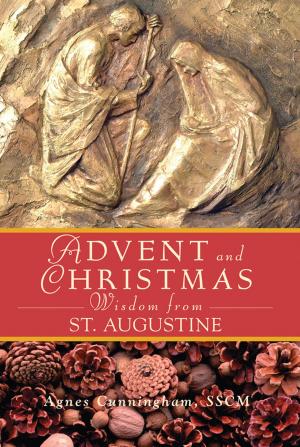Cover of the book Advent Wisdom and Christmas Wisdom From St. Augustine by Kenneth G. Davis, OFM, Conv