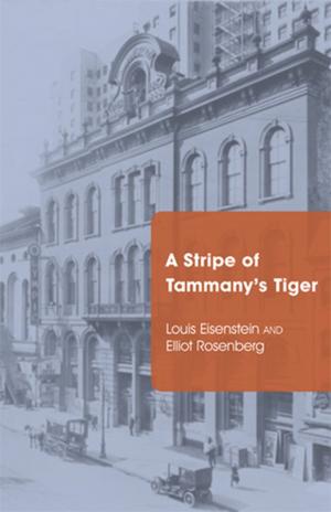 Cover of the book A Stripe of Tammany's Tiger by 