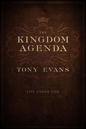 Book cover of The Kingdom Agenda