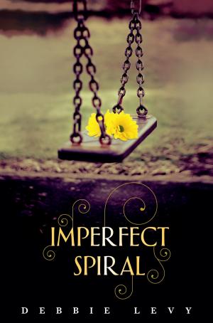 Cover of the book Imperfect Spiral by Ibi Kaslik