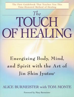 Cover of the book The Touch of Healing by Shane Ryan