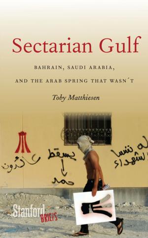 Cover of the book Sectarian Gulf by Mitchell Aboulafia