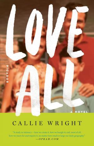 Cover of the book Love All by Richard Brody