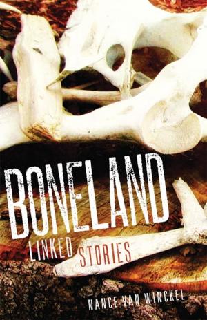 Cover of the book Boneland by Rajeshwari Dutt