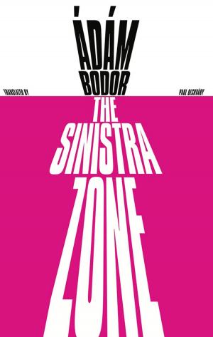 Cover of the book The Sinistra Zone by Hilda Doolittle