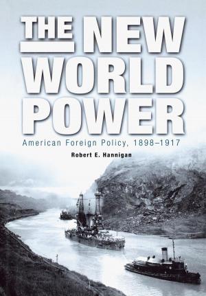 Cover of the book The New World Power by Richard Price